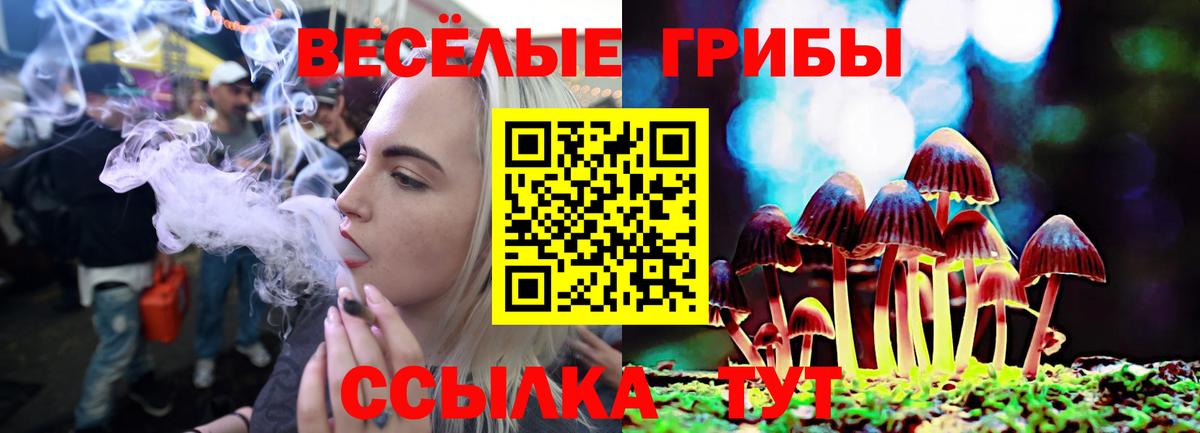 Сегежа  Галлюциногенные грибы мухоморы  Вход с VPN 